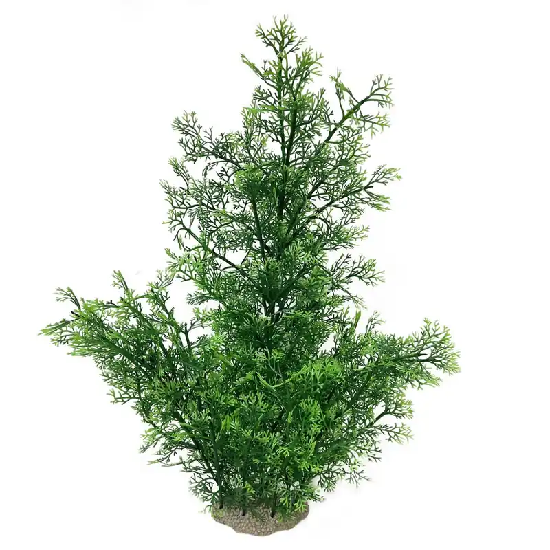 Nur Für Kurze Zeit AQUA DELLA Phoenix XL grün 56 cm